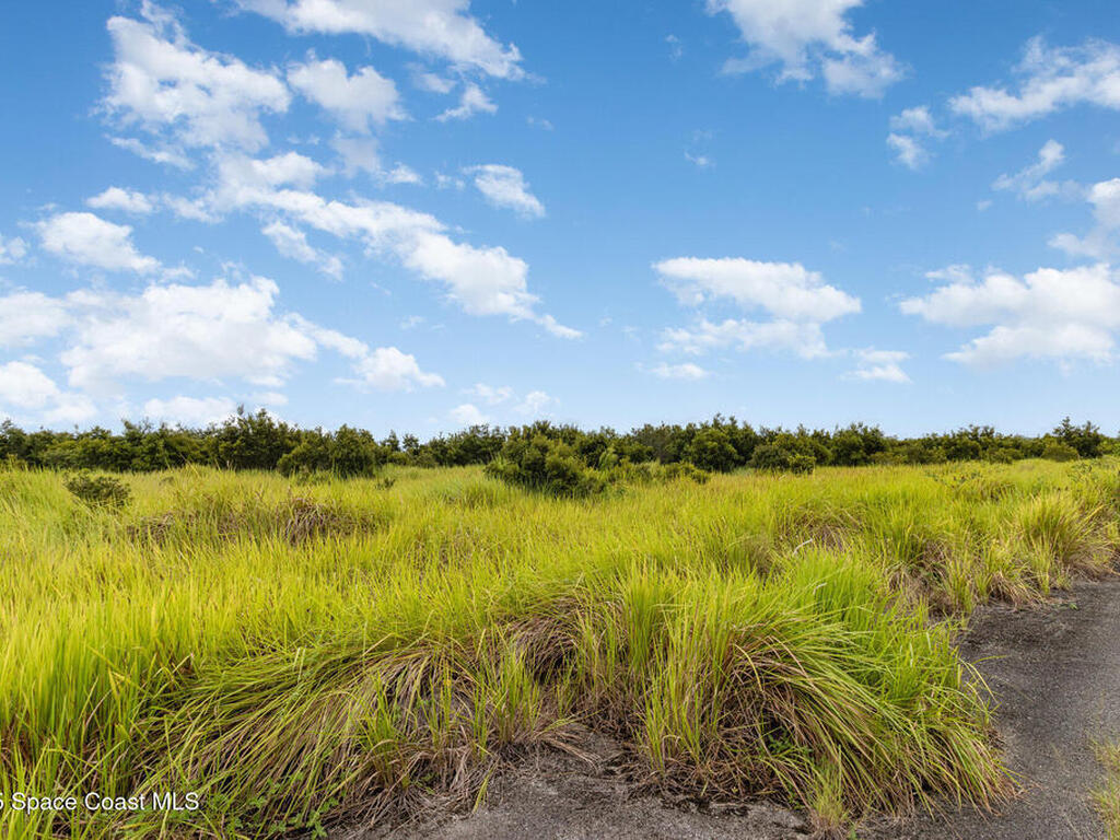 2563 Deviltree Avenue, Palm Bay, FL 32908