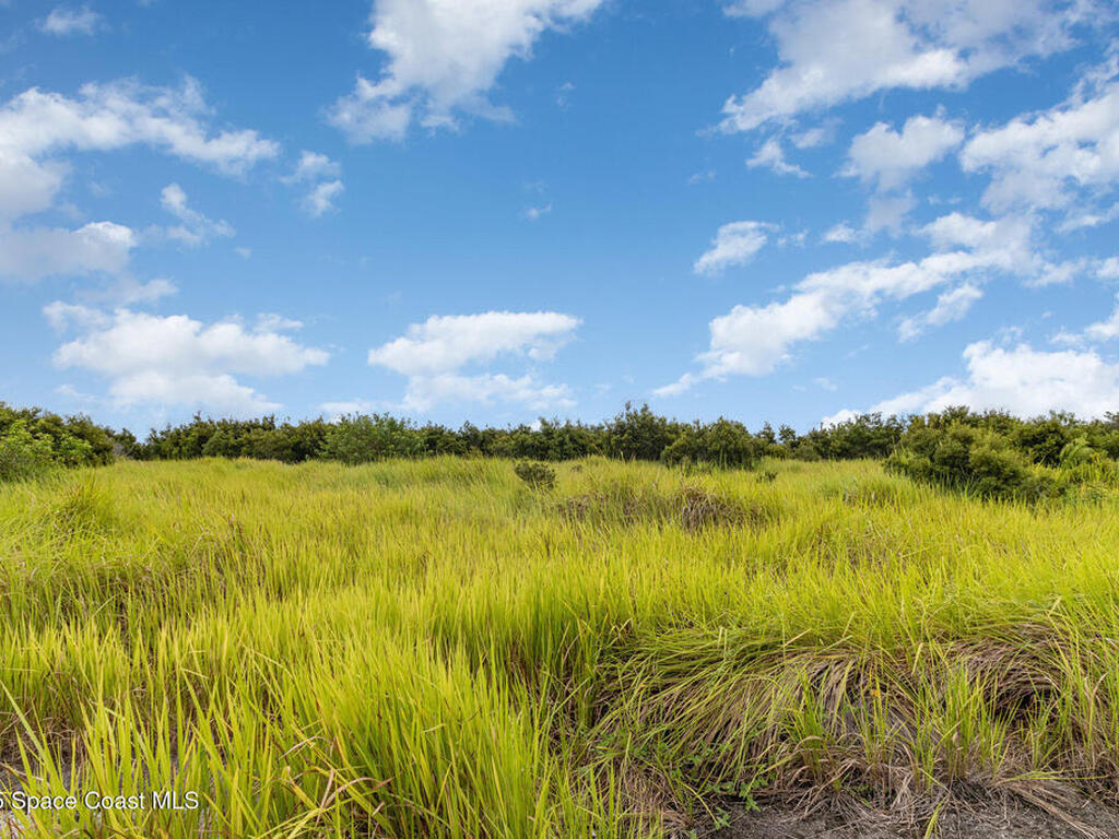 2563 Deviltree Avenue, Palm Bay, FL 32908