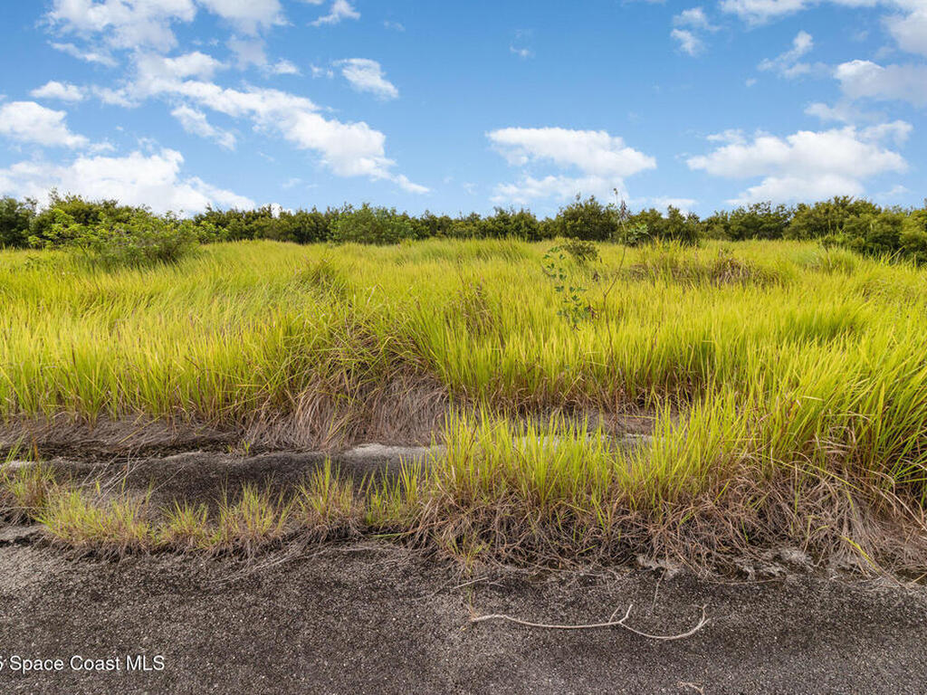 2555 Deviltree Avenue, Palm Bay, FL 32908