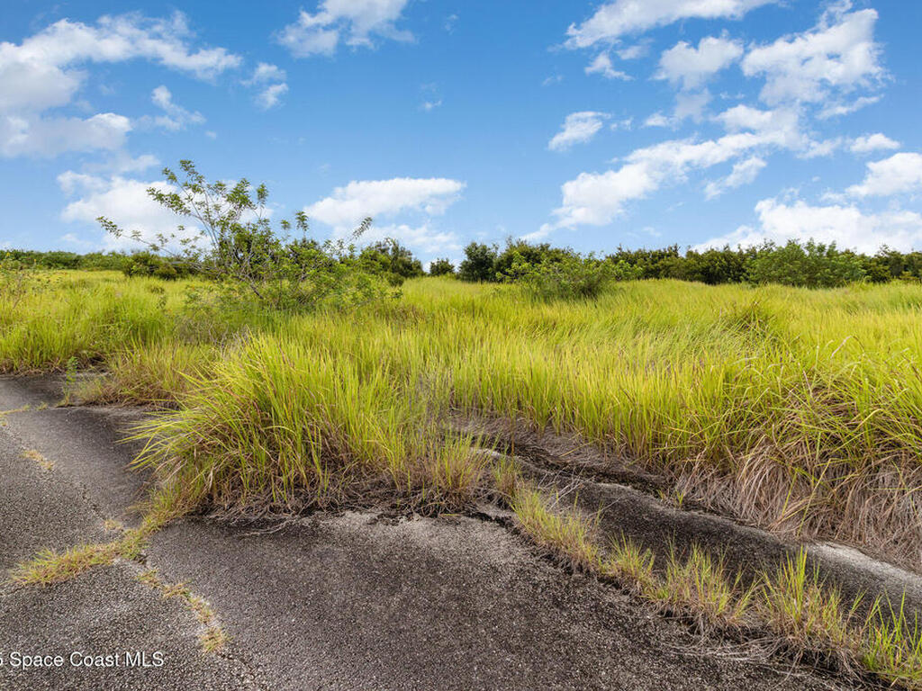 2555 Deviltree Avenue, Palm Bay, FL 32908