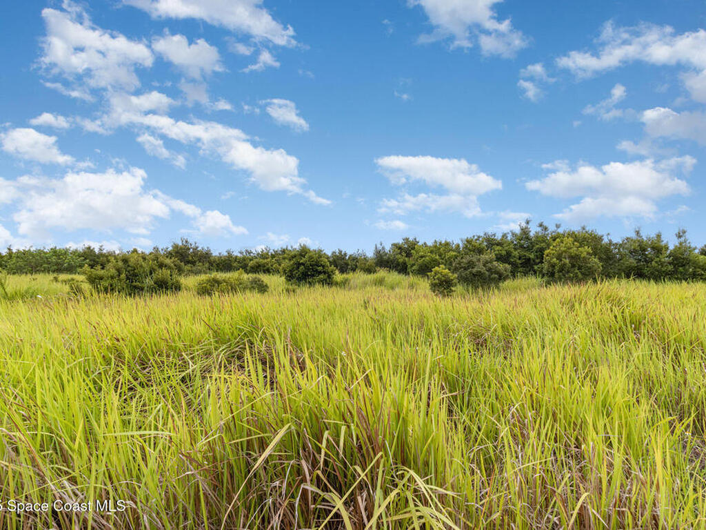 2555 Deviltree Avenue, Palm Bay, FL 32908