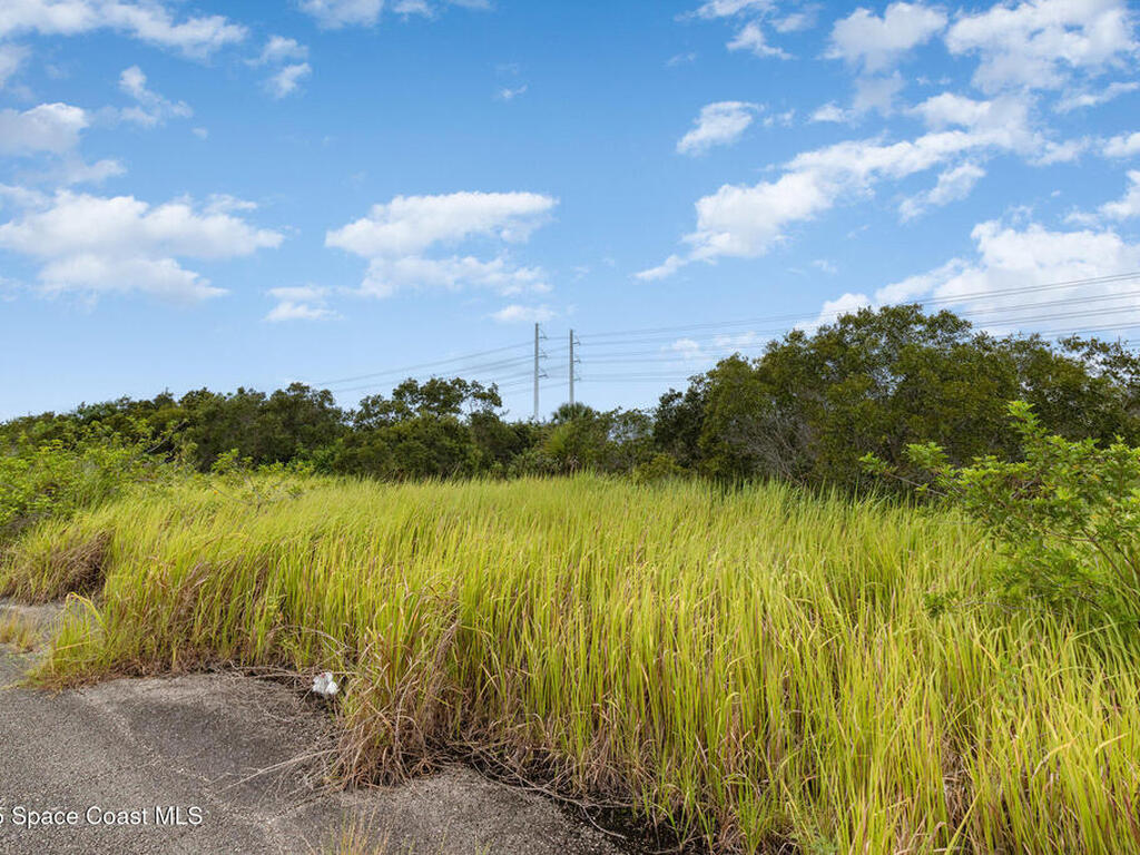 2555 Deviltree Avenue, Palm Bay, FL 32908