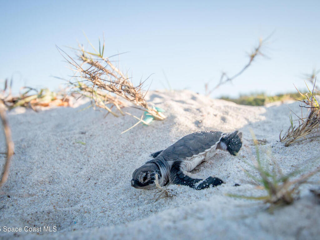220 Osprey Villas Court, Melbourne Beach, FL 32951