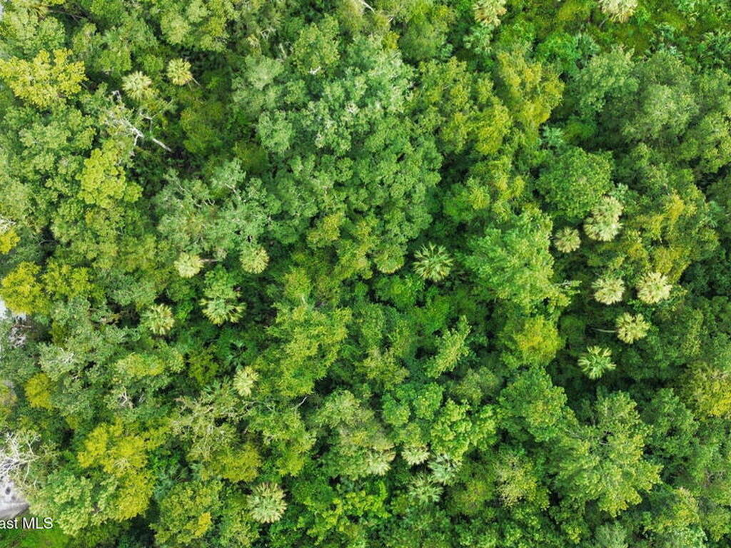 711 Tennessee Terrace, Ormond Beach, FL 32174