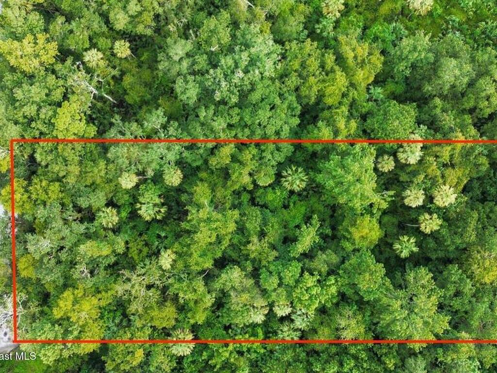 711 Tennessee Terrace, Ormond Beach, FL 32174