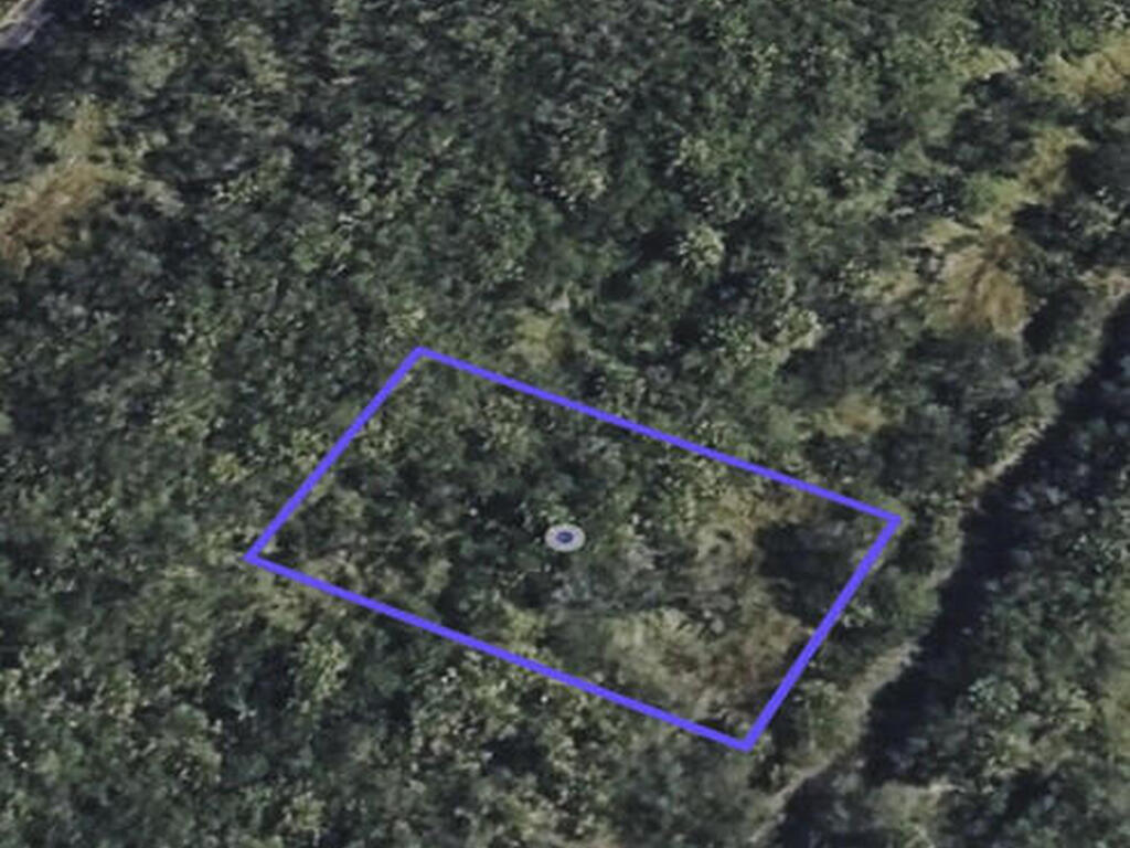 1525 Zinnia Terrace, Palm Bay, FL 32908