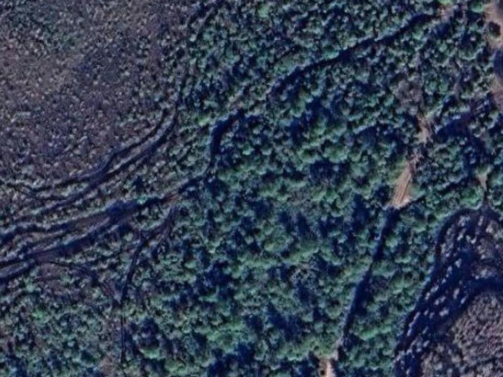 0000 Unknown, Mims, FL 32754