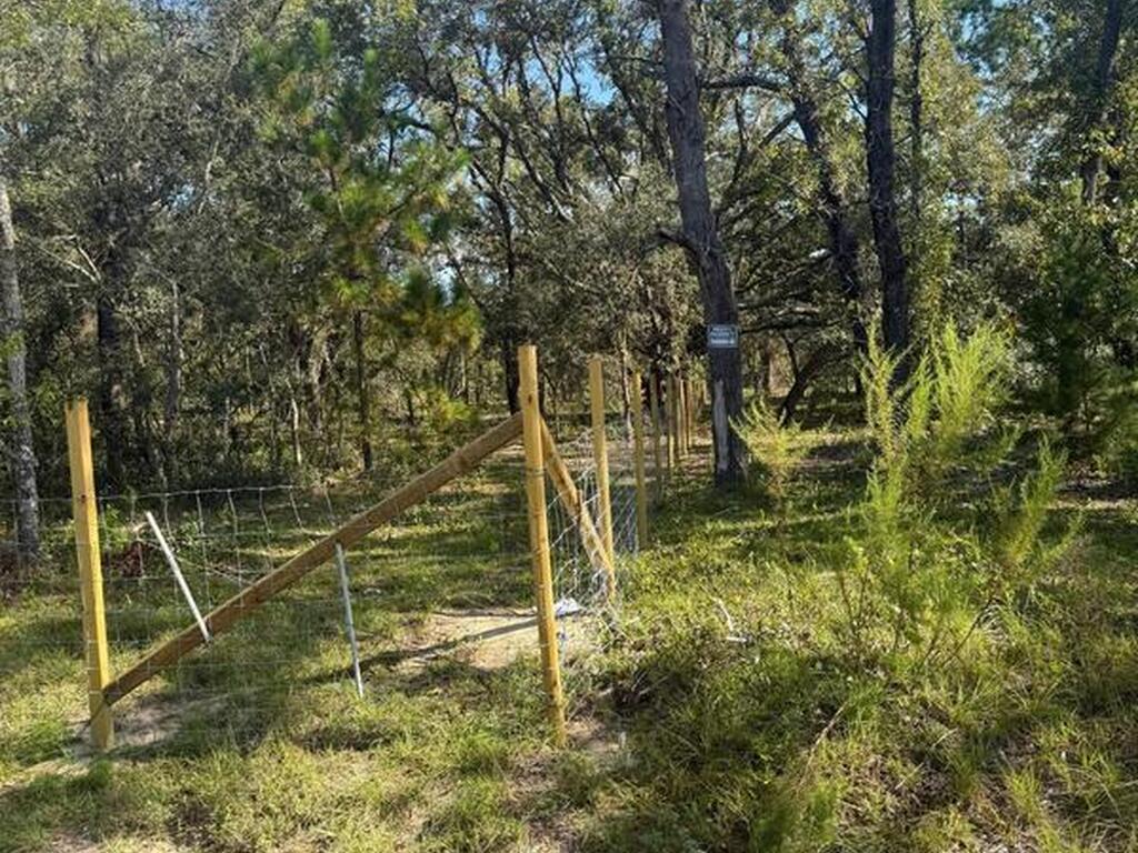 112 Lane, Silver Springs, FL 34488