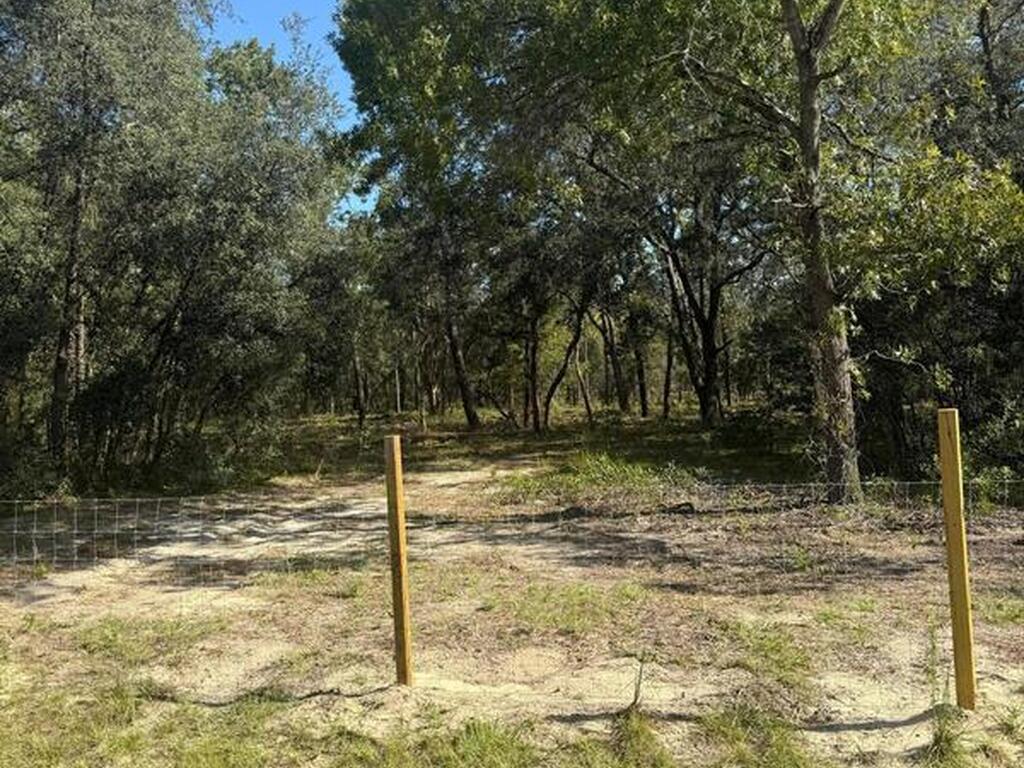 112 Lane, Silver Springs, FL 34488