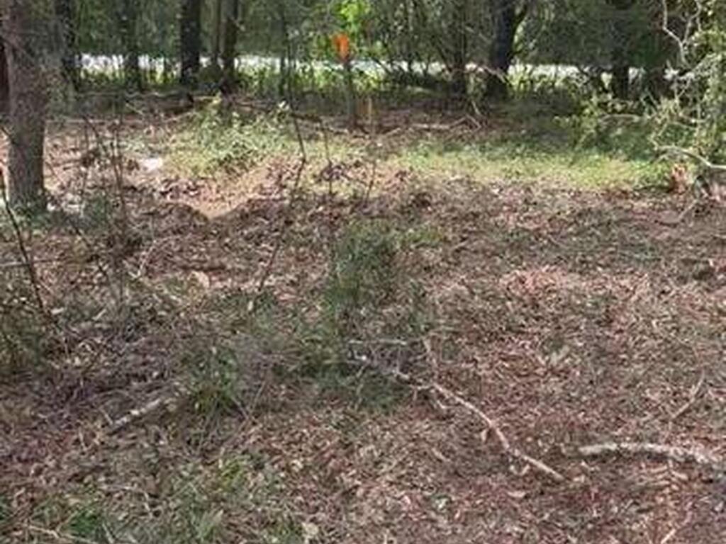 112 Lane, Silver Springs, FL 34488