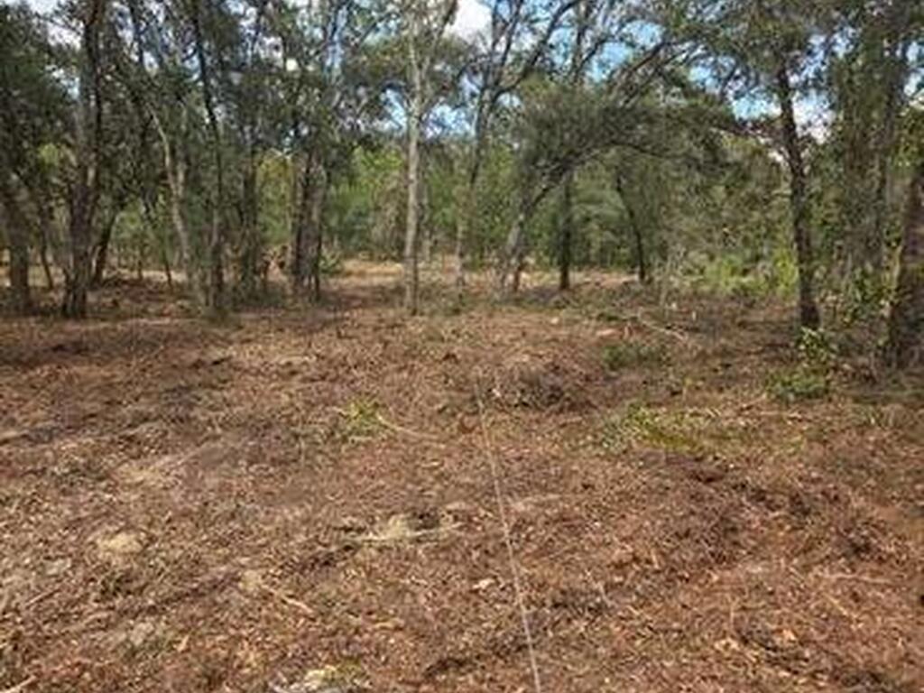 112 Lane, Silver Springs, FL 34488