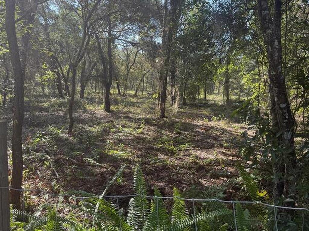 112 Lane, Silver Springs, FL 34488