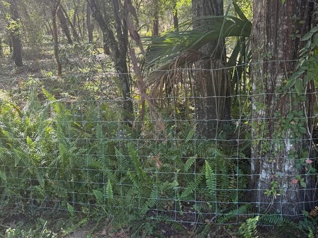 112 Lane, Silver Springs, FL 34488