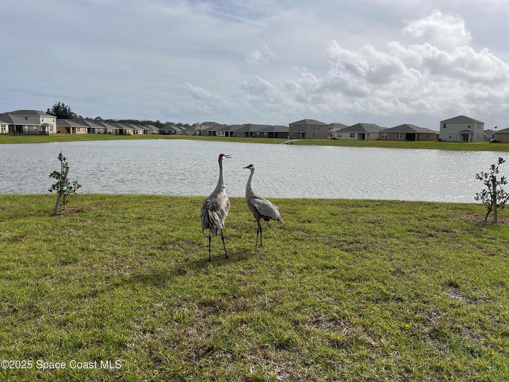 976 Trinity Street, Rockledge, FL 32955