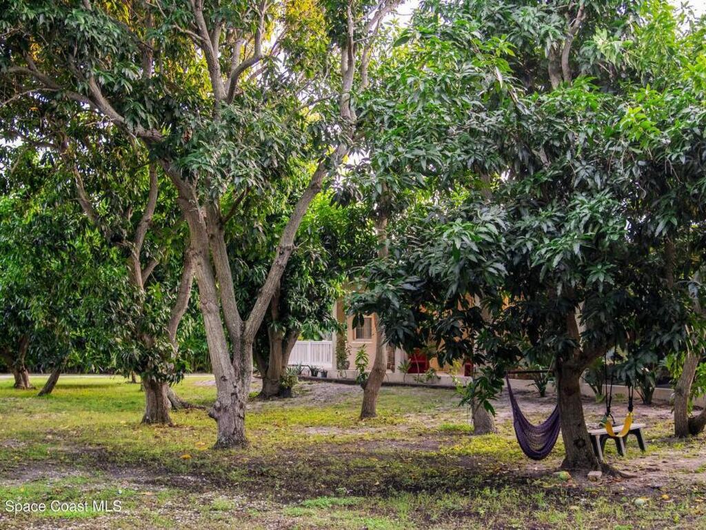 890 Newfound Harbor Drive, Merritt Island, FL 32952