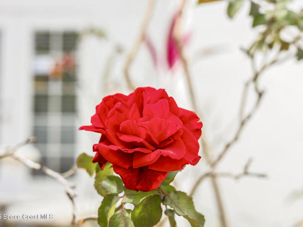 1003 S Washington Avenue, Titusville, FL 32780