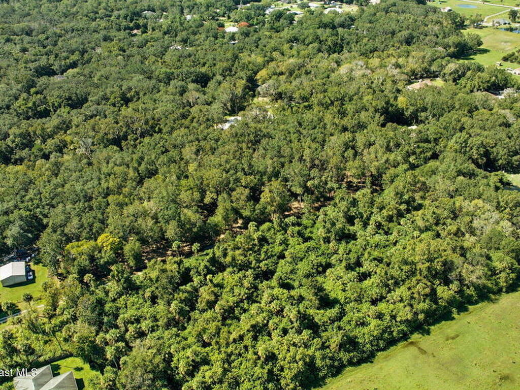 4110 Hampton Lane, Mims, FL 32754