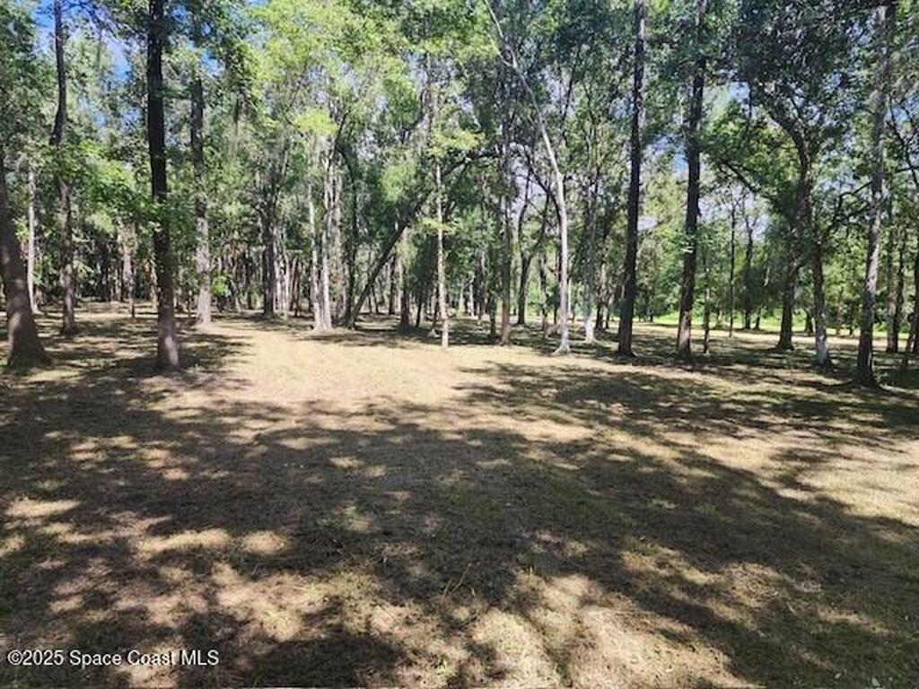 4110 Hampton Lane, Mims, FL 32754