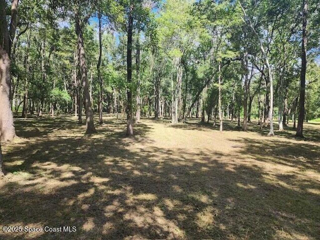 4110 Hampton Lane, Mims, FL 32754