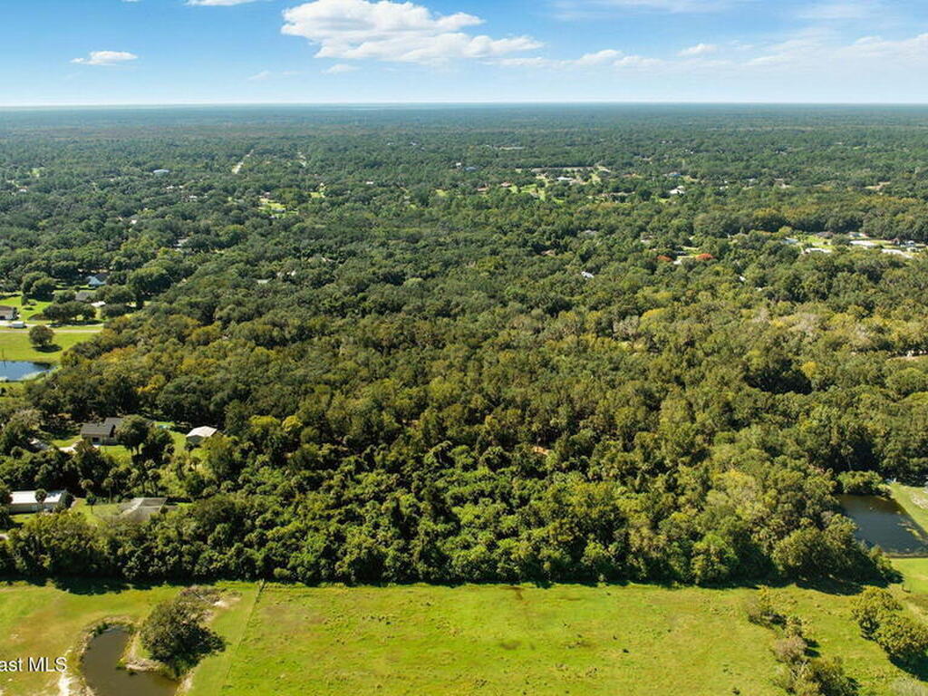 4110 Hampton Lane, Mims, FL 32754