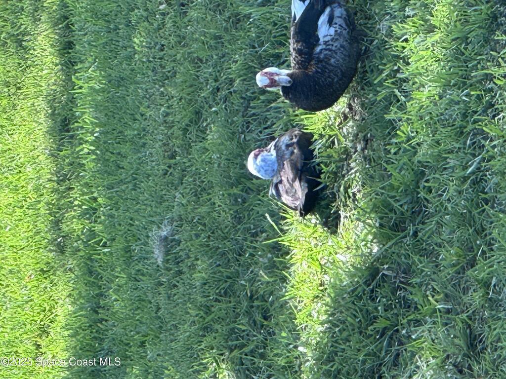 1620 Lake Parkway Drive, St. Cloud, FL 34771