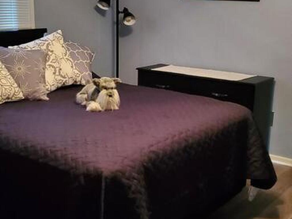 817 Bianca Drive, Palm Bay, FL 32905