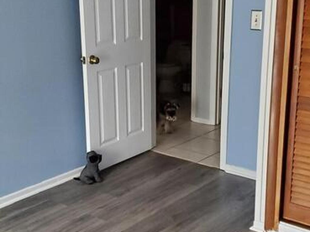 817 Bianca Drive, Palm Bay, FL 32905