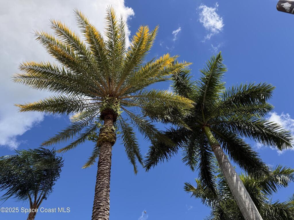 633 NW Whitfield Way, Port St. Lucie, FL 34986