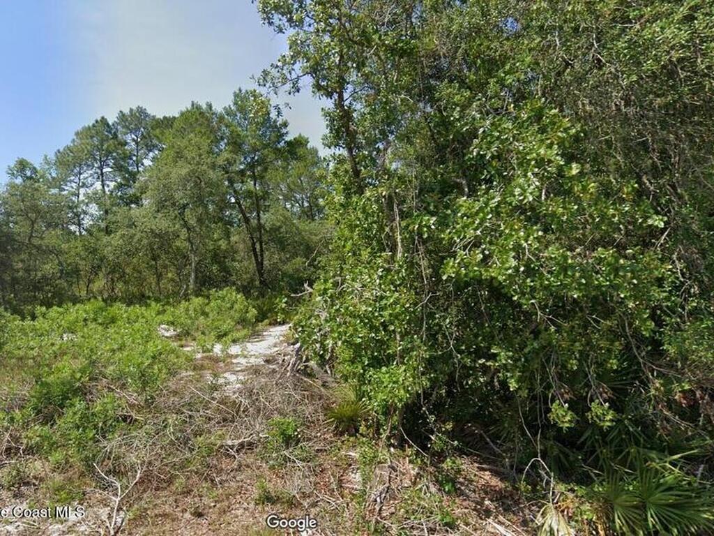 Fisher Pass, Silver Springs, FL 34488