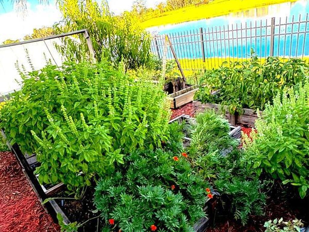 5090 Hebron Drive, Merritt Island, FL 32953