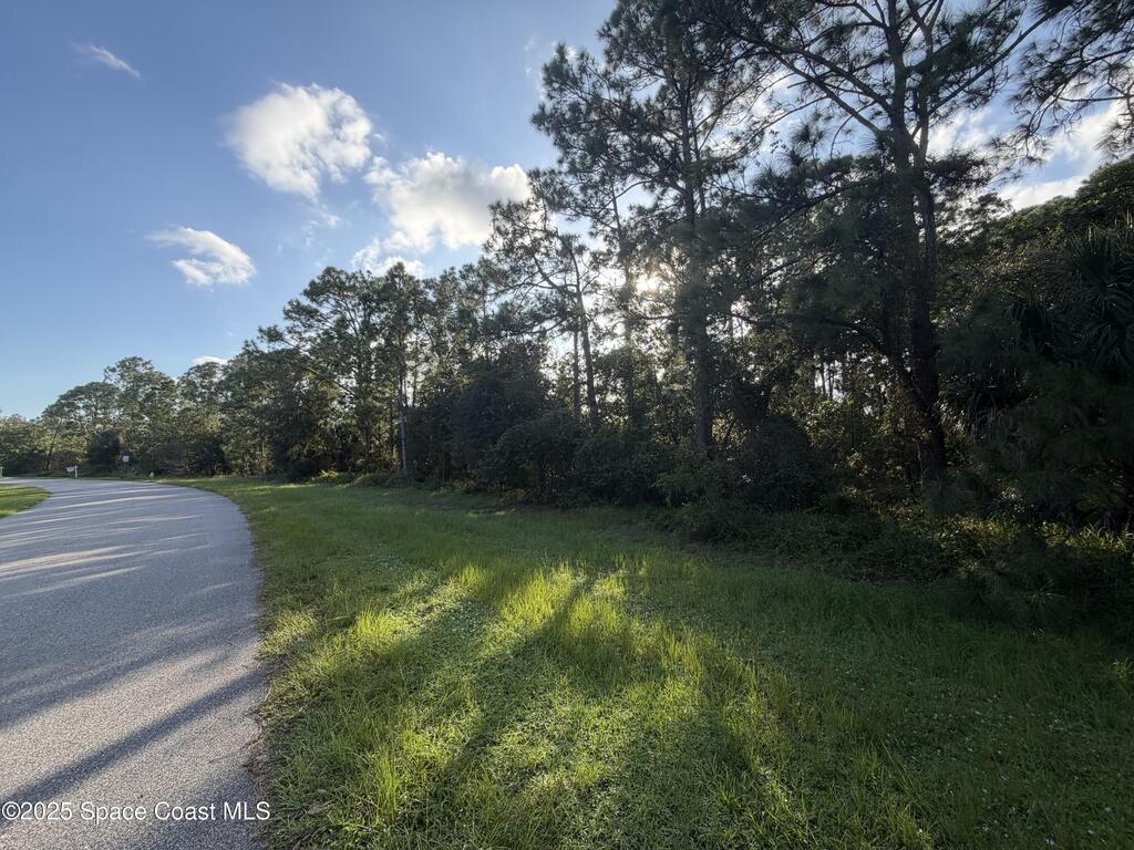 3900 Rambling Acres Drive, Titusville, FL 32796
