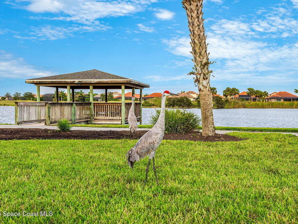 6488 Van Ness Drive, Melbourne, FL 32940