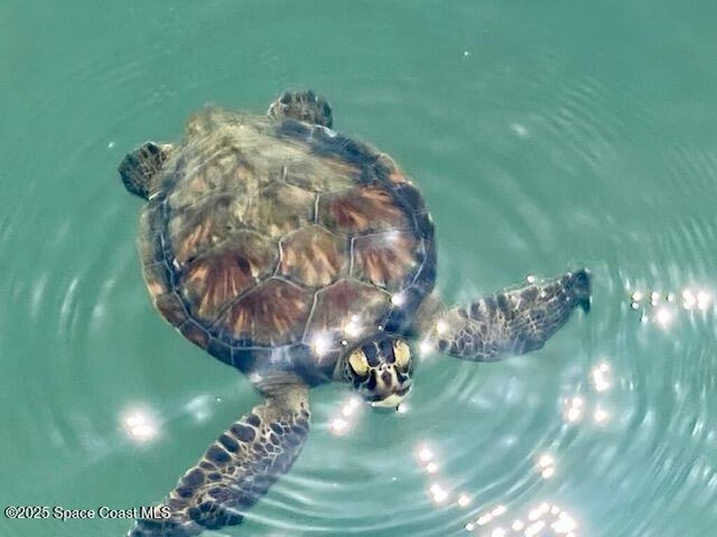 350 Fillmore Ave. Avenue, Cape Canaveral, FL 32920