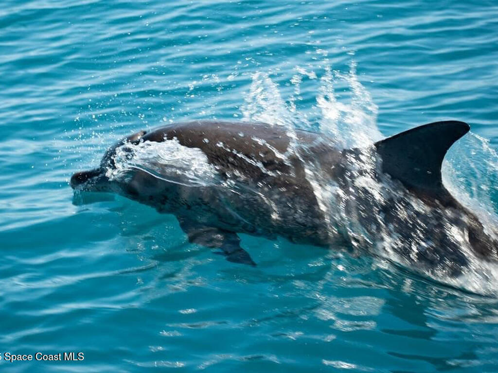 15 N Indian River Drive, Cocoa, FL 32922