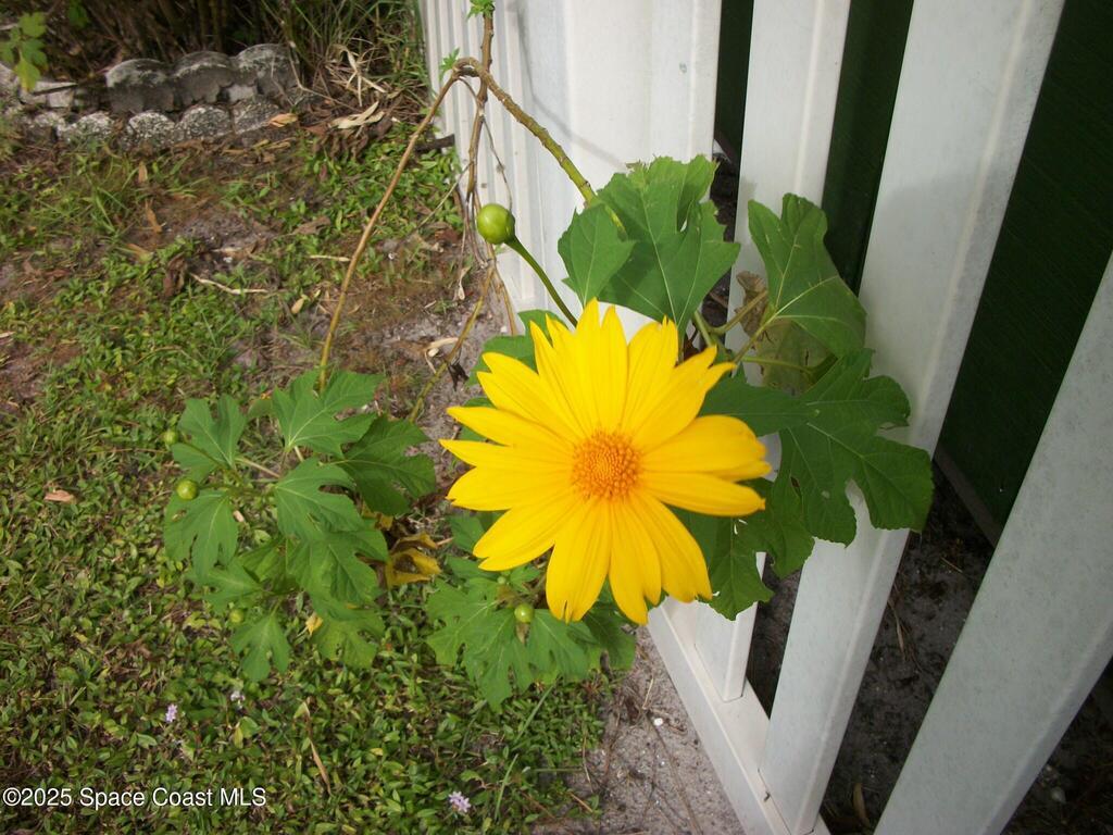 1972 Mango Street, Palm Bay, FL 32905