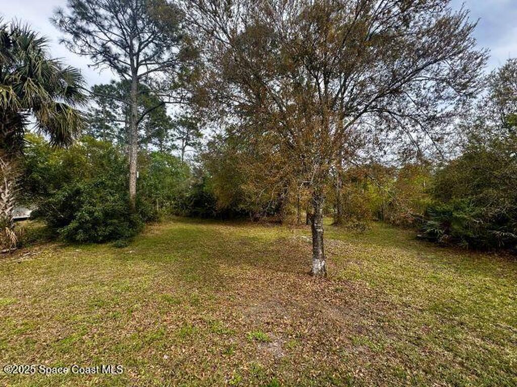 4035 Toby Avenue, Grant-Valkaria, FL 32950