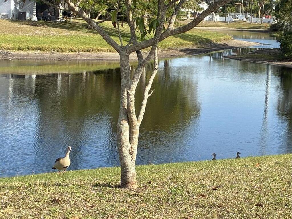 949 Bimini Avenue, Melbourne, FL 32901