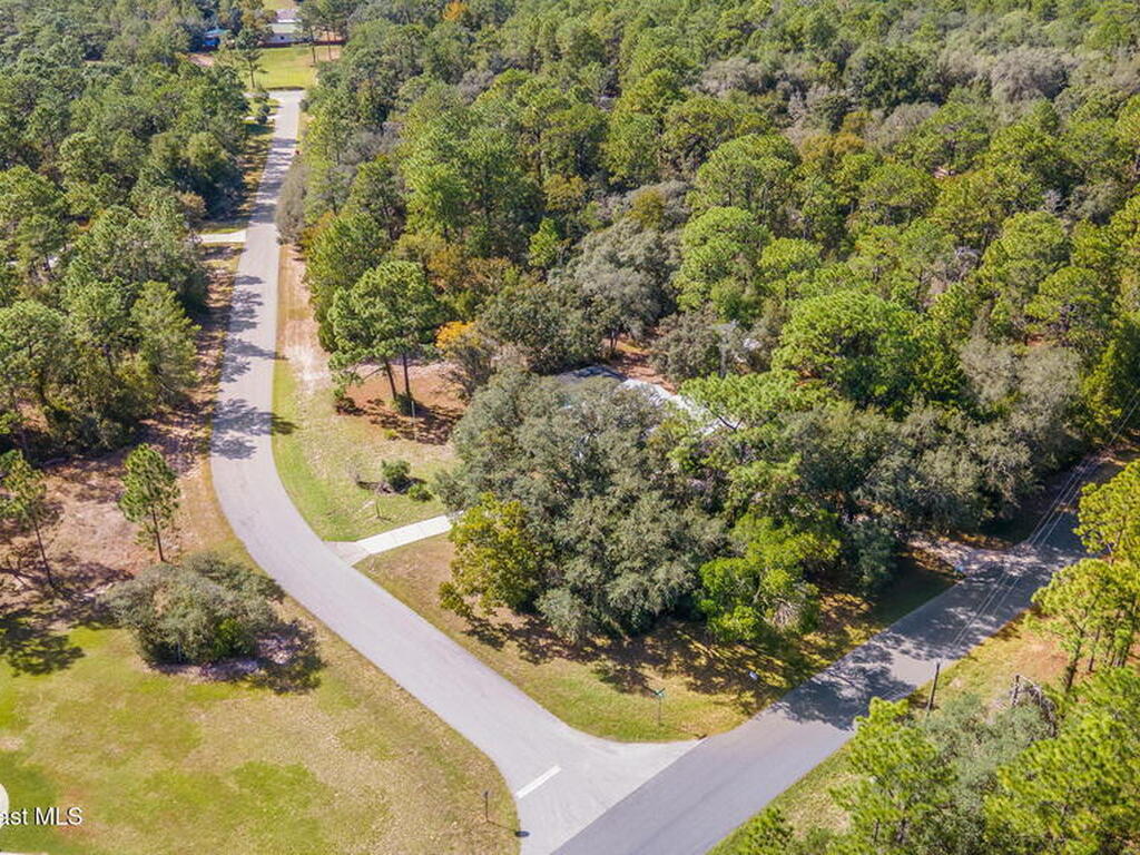 7418 N Firwood Circle, Citrus Springs, FL 34433