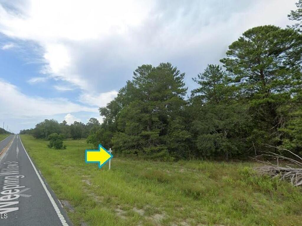 Weeping Willow Street, Brooksville, FL 34613