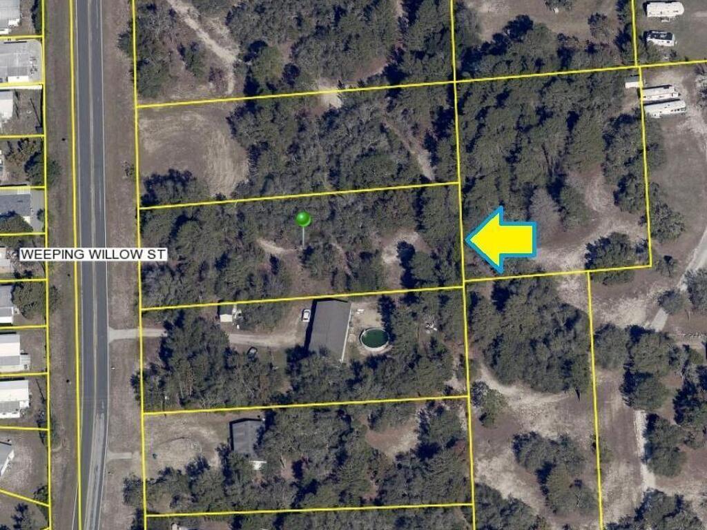 Weeping Willow Street, Brooksville, FL 34613