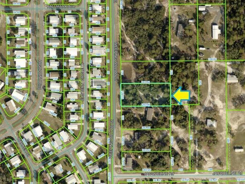 Weeping Willow Street, Brooksville, FL 34613