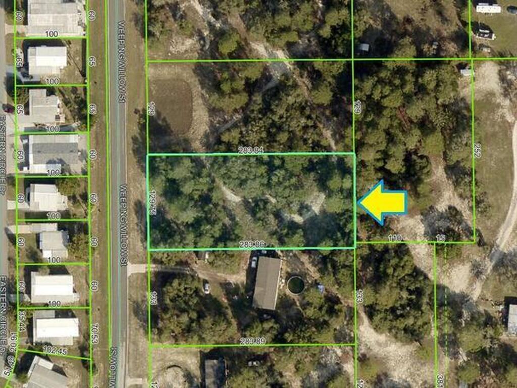 Weeping Willow Street, Brooksville, FL 34613