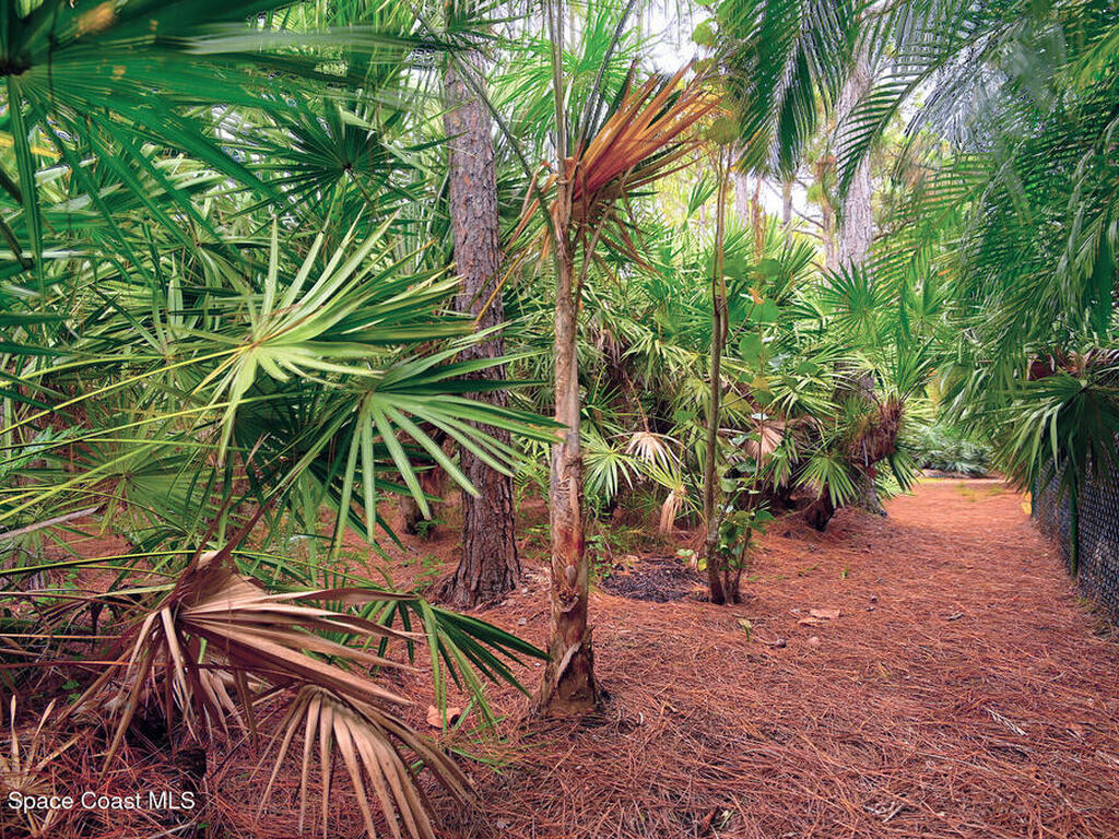 4580 Hunters Run Circle, Grant, FL 32949