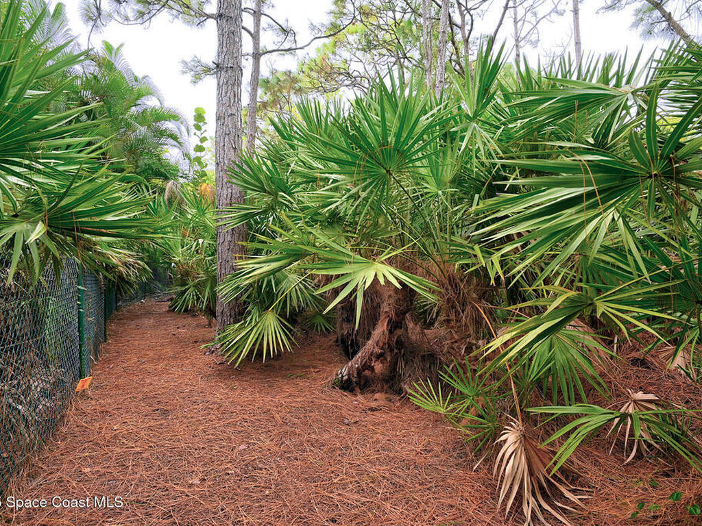 4580 Hunters Run Circle, Grant, FL 32949