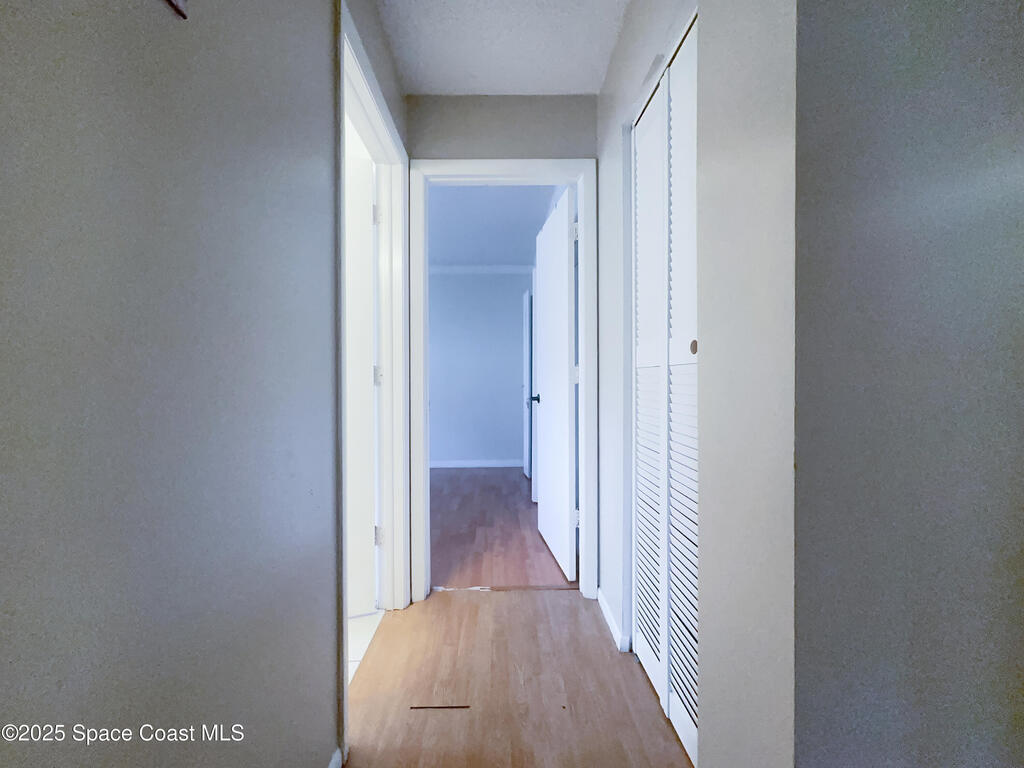 8215 Autumn Oak Avenue, Port Richey, FL 34688