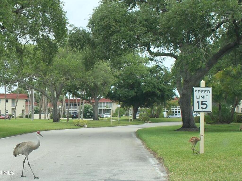 96 Springlake Drive, Vero Beach, FL 32962