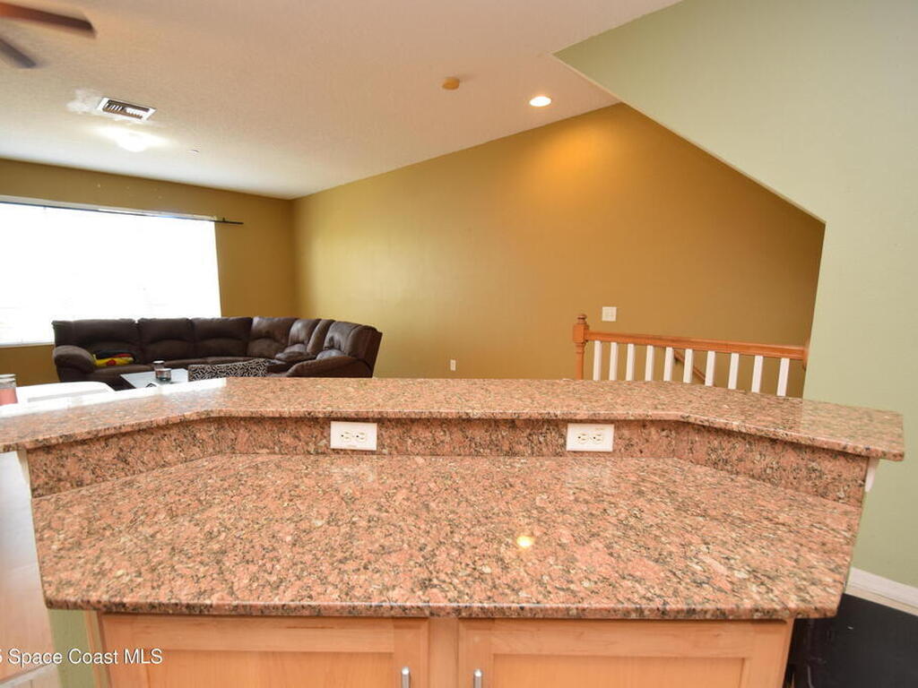 1327 Salem Orchard Lane, Brandon, FL 33510