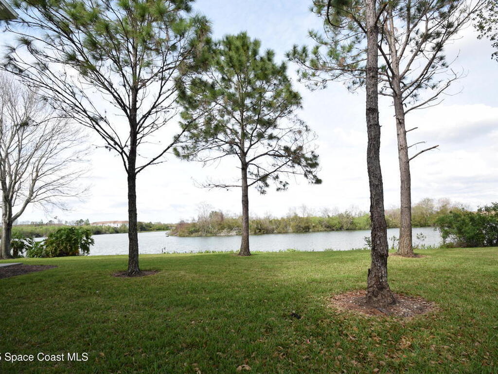 1327 Salem Orchard Lane, Brandon, FL 33510