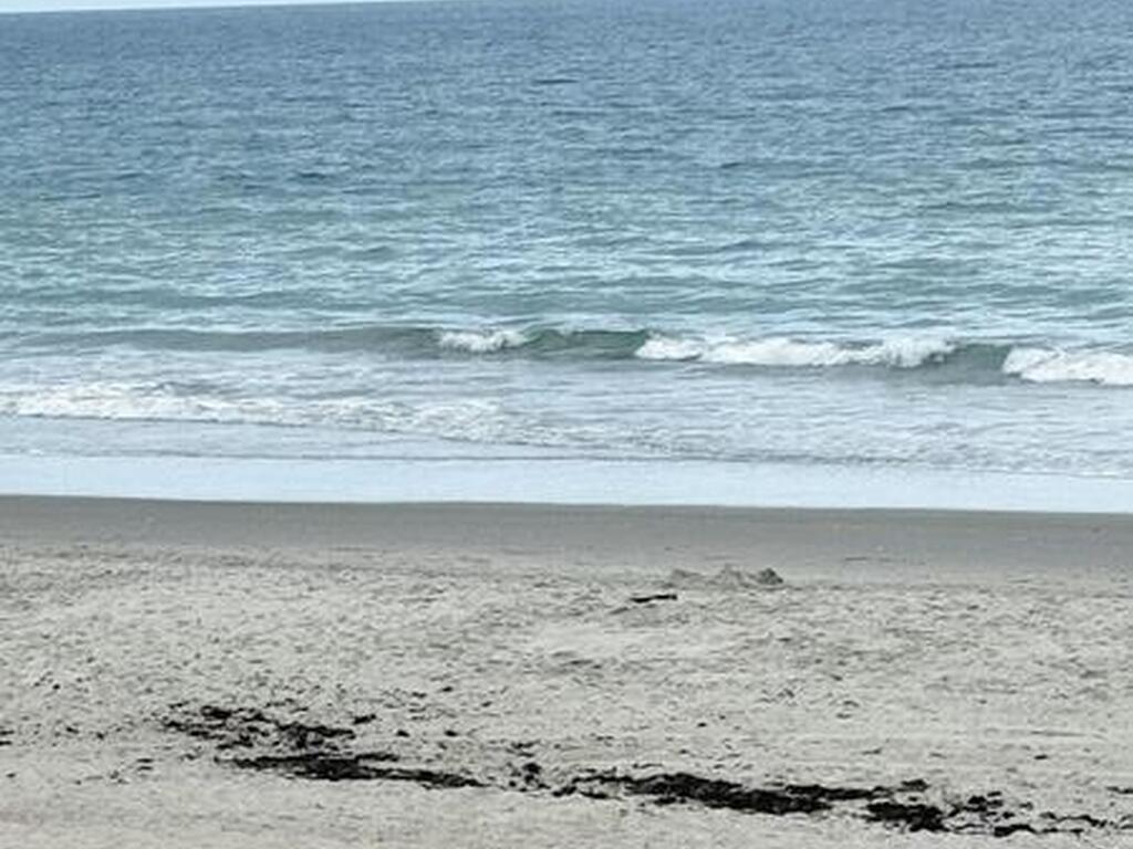 190 Paradise Boulevard, Melbourne, FL 32903