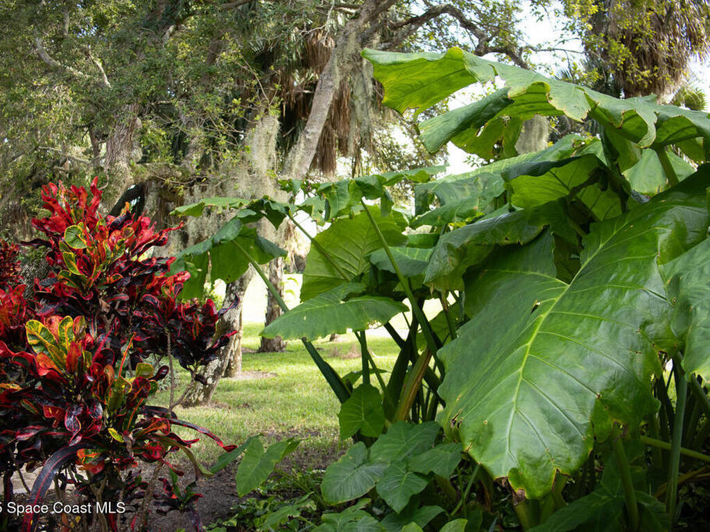 115 Aquarina Boulevard, Melbourne Beach, FL 32951